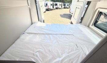 
										ETRUSCO CV 540 DB full									