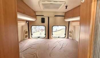 
										SUNLIVING FLEXO V1 USATO 2011 full									