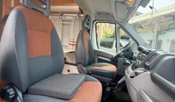 
										SUNLIVING FLEXO V1 USATO 2011 full									