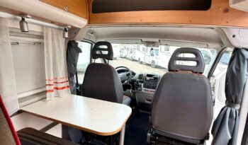 
										SUNLIVING FLEXO V1 usato 2011 full									