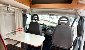 
										SUNLIVING FLEXO V1 USATO 2011 full									