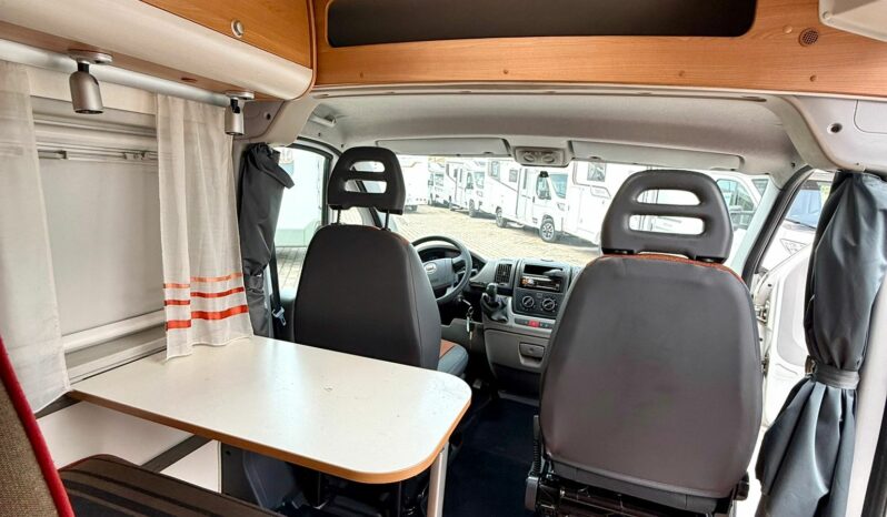 
								SUNLIVING FLEXO V1 USATO 2011 full									